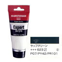 【最大29倍×お買い物マラソン SPU 要エントリー 6/22 20:00 〜 6/27 1:59】 アムステルダム アクリル絵具 アクリリックカラー エキスパート 75ml サップグリーン(3)