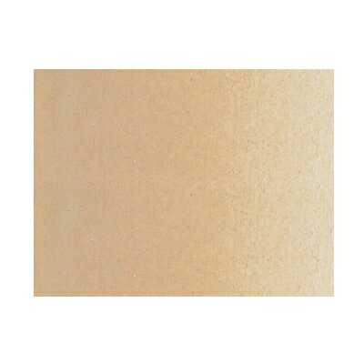 【最大30倍×ブラックフライデー SPU 要エントリー 11/20 20:00 〜 11/27 1:59】 ターナー 海外版 アー..