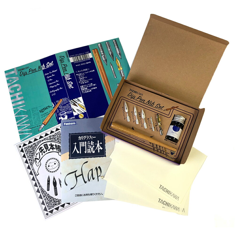 【最大30倍×ブラックフライデー SPU 要エントリー 11/20 20:00 〜 11/27 1:59】 タチカワ ペン先 つけペン先セット T-DPS
