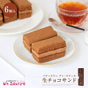 ケーキ チョコ 生チョコ 生チョコサンド 冷凍 おいしい ふわふわ スポンジ スイスカルマ社 生クリーム チョコクリーム ミニ ミニケーキ 結婚 かわいい 国産 プレゼント 美味しい 誕生日 バースデー 特産品 泉州 泉佐野 ホワイトデー st-un3