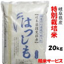 令和5年産【特別栽培米】岐阜県産ハツシモ 玄米20Kg 10Kg 2 精米サービス 白鳥ファーム 【送料無料】北海道/沖縄/離島は追加送料