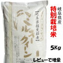 令和5年産【特別栽培米】岐阜県産ミルキークイーン 玄米5Kg（レビューで次回増量）白鳥ファーム【送料無料】北海道/沖縄/離島は追加送料