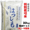 【リピータ専用】 令和5年産【特別栽培米】岐阜県産ハツシモ 玄米30Kg（10Kg×3）精米サービス【送料無料】北海道/沖縄/離島は追加送料