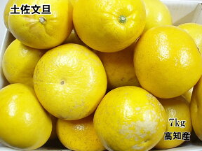 高知産 訳あり土佐文旦約7kg【送料無料】【smtb-kd】