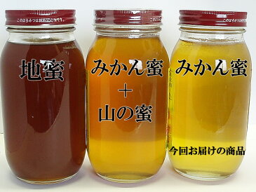 生はちみつ 非加熱 みかん蜂蜜200g みかんの郷のはちみつ【ネコポス送料無料】【国産】【smtb-kd】