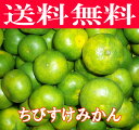食品・ドリンク・酒通販専門店ランキング21位 【人気】【オススメ】愛媛みかん 小玉 みかん 吉田みかん【送料無料】極早生ちびすけみかん5kg【smtb-KD】 食品・ドリンク・酒通販専門店ランキング21位 【人気】【オススメ】愛媛みかん 小玉 みかん 吉田みかん【送料無料】極早生ちびすけみかん5kg【smtb-KD】