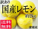 【sale】【送料無料】訳あり国産レモン2kg【愛媛県産】低農薬/国産/レモン/安心【smtb-kd】