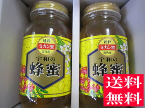 【ギフト】【送料無料 はちみつ セット】生はちみつ 非加熱 純粋 みかん蜂蜜1kg×2本セット【お歳暮】【お中元】【宇和養蜂】【国産】【愛媛産】【smtb-kd】