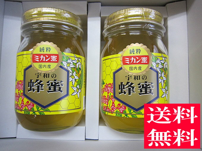 【ギフト】【送料無料 はちみつ セット】生はちみつ 非加熱 純粋 みかん蜂蜜500g 2本セット【お歳暮】【お中元】【宇和養蜂】【国産】【愛媛産】【smtb-kd】