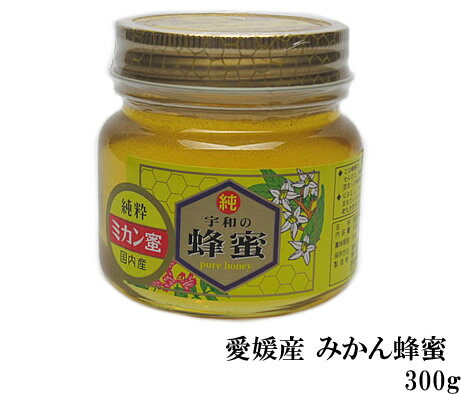 全国お取り寄せグルメ愛媛その他蜂蜜No.11