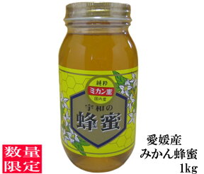 【2023年蜜】生はちみつ 非加熱 みかんの郷のはちみつ 純粋みかん蜂蜜1kg【送料無料 はちみつ】【宇和養蜂】【養蜂場直送】【国産】【愛媛産】