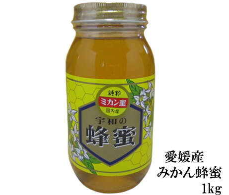 生はちみつ 非加熱 みかん蜂蜜1000g みかんの郷のはちみつ【送料無料 はちみつ】【宇和養蜂】【国産】