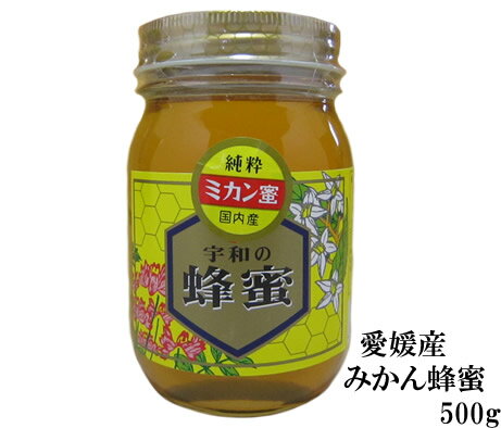 生はちみつ 非加熱 純粋みかん蜂蜜500g みかんの郷のはちみつ【送料無料 はちみつ】【宇和養蜂】【養蜂場直送】【愛媛産】【国産】