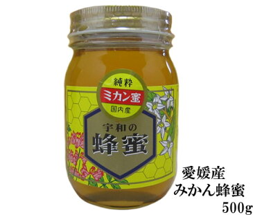 生はちみつ 非加熱 純粋みかん蜂蜜500g みかんの郷のはちみつ【宇和養蜂】【養蜂場直送】【愛媛産】【国産】