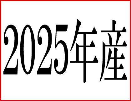 サンプル画像2