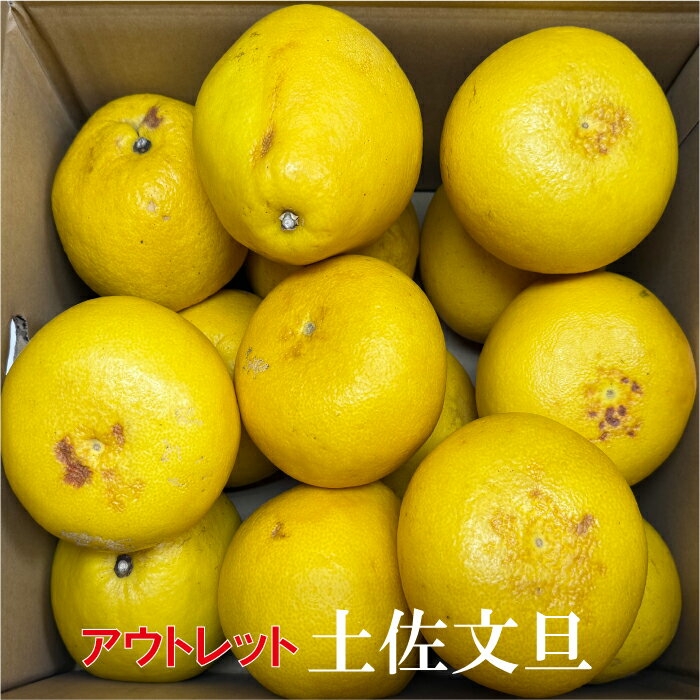 樂天商城 - アウトレットセール【送料無料】訳あり土佐文旦約7kg【高知産】【smtb-kd】