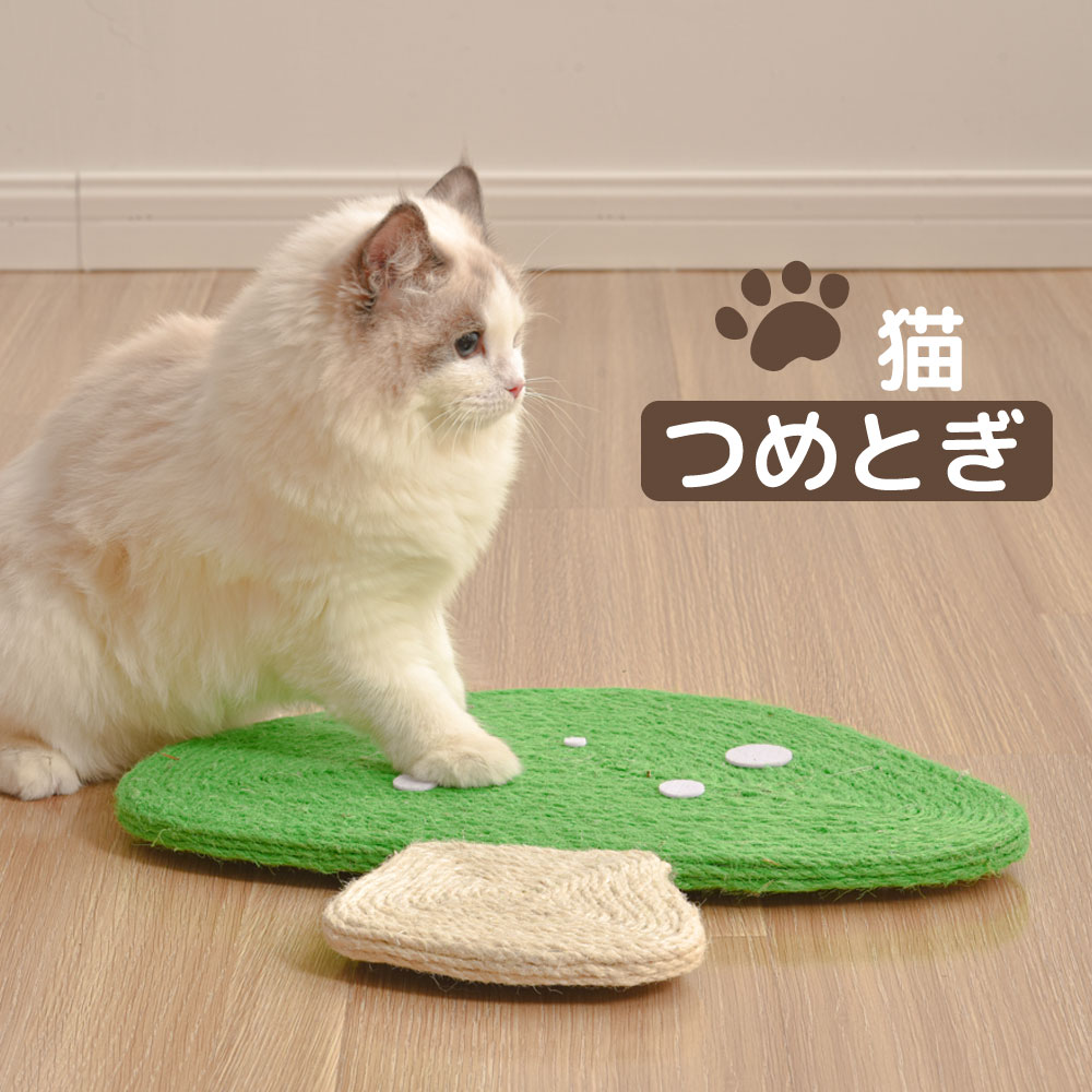 【8%OFF★88名限定】爪とぎ 猫 壁掛け キノコ柄 魚 オレンジ グリーン ブルー ポンポン キャット サイザル麻 縄巻き ねこ つめとぎ ネコ 爪とぎ 爪研ぎ 爪みがき おもちゃ 全3色のサムネイル