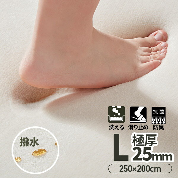 【point 5倍！本日限定！】【値下げ】ラグ はっ水 ラグマット 極厚25mm 抗菌防臭 200×250cm カーペット 厚手 滑り止め 洗える 角型 撥水 床暖房 ホットカーペット おしゃれ 防カビ 防ダニ オールシーズン マイクロファイバー リビング