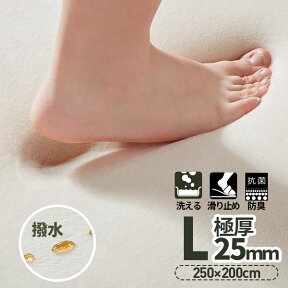 【先着7%OFF★金曜ラク！】【値下げ】ラグ はっ水 ラグマット 極厚25mm 抗菌防臭 200×250cm カーペット 厚手 滑り止め 洗える 角型 撥水 床暖房 ホットカーペット おしゃれ 防カビ 防ダニ オールシーズン マイクロファイバー リビング