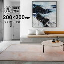 ラグ ラグマット 洗える 200X200 シャギーラグ ホッ...