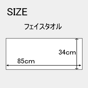 SALE(送料無料)ロングパイルフェイスタオル...の紹介画像2