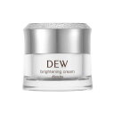 【医薬部外品】《カネボウ》 DEW ブライトニングクリーム 30g