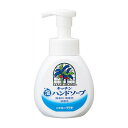 《サラヤ》 ヤシノミ キッチン 泡ハンドソープ 本体 250ml(4)