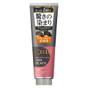 《ホーユー》 CIELO (シエロ) カラートリートメント 全体用 アッシュブラック 230g