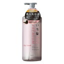 《クラシエ》 いち髪 THE PREMIUM エクストラダメージケアシャンプー (シルキースムース) ポンプ 480mL