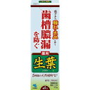 【医薬部外品】 《小林製薬》 生葉b 100g (歯槽膿漏予防薬用歯みがき)