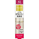 【伊勢半】フェルム プルーフシャイニールージュ《62:ローズ系》