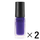 sR[Z[t NAIL HOLIC lCzbN PU103 5ml~2 ilCJ[j