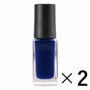 sR[Z[t NAIL HOLIC lCzbN BL906 5ml~2 ilCJ[j