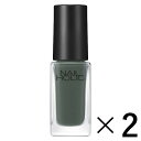 《コーセー》 ネイルホリック (NAILHOLIC) 〈GR704〉 5ml×2