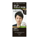 【マンダム】ルシード ワンプッシュケアカラー ナチュラルブラック《医薬部外品》