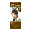 【マンダム】ルシード ワンプッシュケアカラー ナチュラルブラウン《医薬部外品》