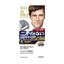 【医薬部外品】《ダリヤ》 サロンドプロ 無香料ヘアカラー メンズスピーディー 《6 自然な黒褐色》 白髪用
