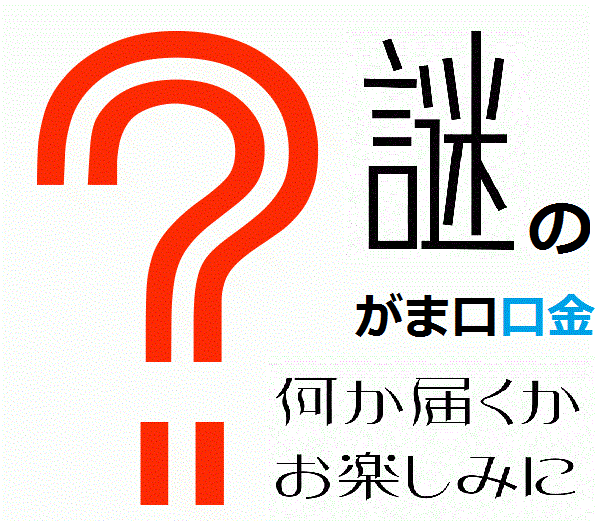 激安 赤字 謎のがま口 口金 差し込みタイプ お任せ口金 シルバー アンティークゴールド ブラック 福袋 訳あり品 メール便 手芸 金具 パーツ ガマグチ がまぐち