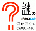 激安 赤字 謎のがま口 口金 差し込みタイプ お任せ口金 シルバー アンティークゴールド ブラック 福袋 訳あり品 メール便 手芸 金具 パーツ ガマグチ がまぐち