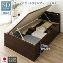セミダブルベッド 茶 ダークブラウン 〔組立設置サービス付き〕 整理 収納 ベッド 通常丈 セミダブル 跳ね上げ らくらく 式 横開き ミドルタイプ 深さ37c...