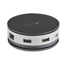 StarTech.com USB Type-C マルチハブ ブラック&グレー DKT31CHDVCM 1台 黒 USB Type-Cポートを拡張するスタイリッシ...