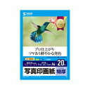【5個セット】 インクジェット写真印画紙・特厚 JP-EP2NA4NX5 プロフェッショナル仕上げのフォトペーパー スナップ写真に最適な特厚タイプ 驚きの5個セ...