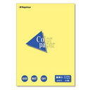 (業務用10セット)Nagatoya カラーペーパー/コピー用紙 【A3/最厚口 25枚】 両面印刷対応 クリーム 多彩な印刷物に最適 ビジネスに活かせる高品質...