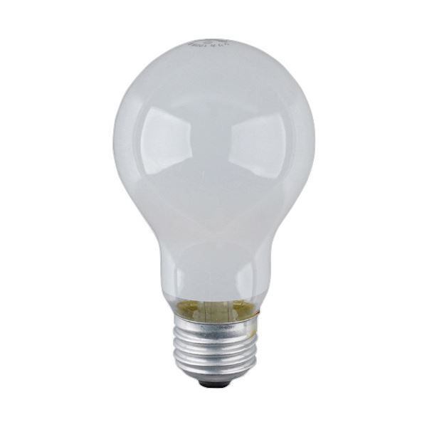 ̴ξ㤨֡ʤޤȤ Ĺ̿ꥫŵ 100 95W E26 ۥ磻 LW100V95W-W 1 ڡ5åȡ  Ĺ̿뤤 10095WΥꥫŵ塢E26⡢ۥ磻ȥ顼 15åȤǤ ץåȿ⤷äȳݤơ뤤饤  򤪳ڤߤ פβǤʤ2,555ߤˤʤޤ