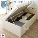 セミダブルベッド アイボリー 〔お客様組み立て〕 整理 収納 ベッド 通常丈 セミダブル 跳ね上げ らくらく 式 横開き ロータイプ 低い 深さ30cm 3ゾー...