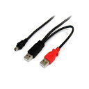 (まとめ) StarTech.com USB Y字給電ケーブル 配線 90cm USB A-mini B(Y型分岐パワーケーブル ) ブラックUSB2HABMY3 1本 【×2セット】 黒 USB接続で便利なY字分岐パワーケーブル USB A-mini Bタイプの90cmケーブルが2本セットでお得 デバイスを効率的に充電&接続 ブラ