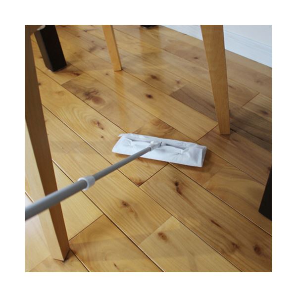 （まとめ） アズマ工業 ミニフローリングワイパーFNUS381 1本 【×3セット】 フロアを美しく輝かせる革新的なミニワイパーが登場 床の汚れを手軽に一掃し、清潔な空間を演出 忙しい日常にも頼れる相棒 高品質な1本が3本セットでお得に手に入る フロア愛好家にも大好評のア