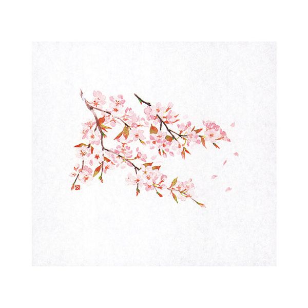 ヤマコー 用美 業務用 遠赤保鮮紙(大)桜 (100枚入) yamaco64882 遠赤技術で食材を長持ちさせる 桜柄の..