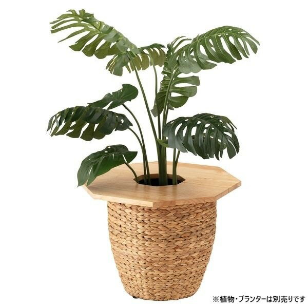 プランターテーブル 机 単品 ハ角形 約幅50×奥行50×高さ1.8cm ナチュラル 木製 インテリア用品 園芸 プ..