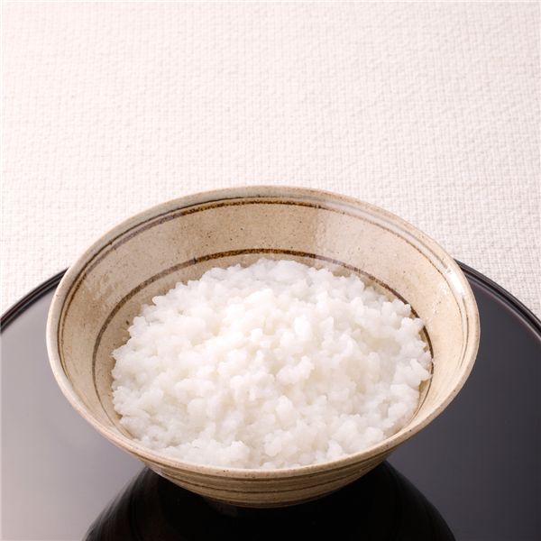 LLF 長期保存 【賞味期限2032年1月】備蓄やわらかご飯 200g×5袋セット 2032年まで保存可能なやわらかご..